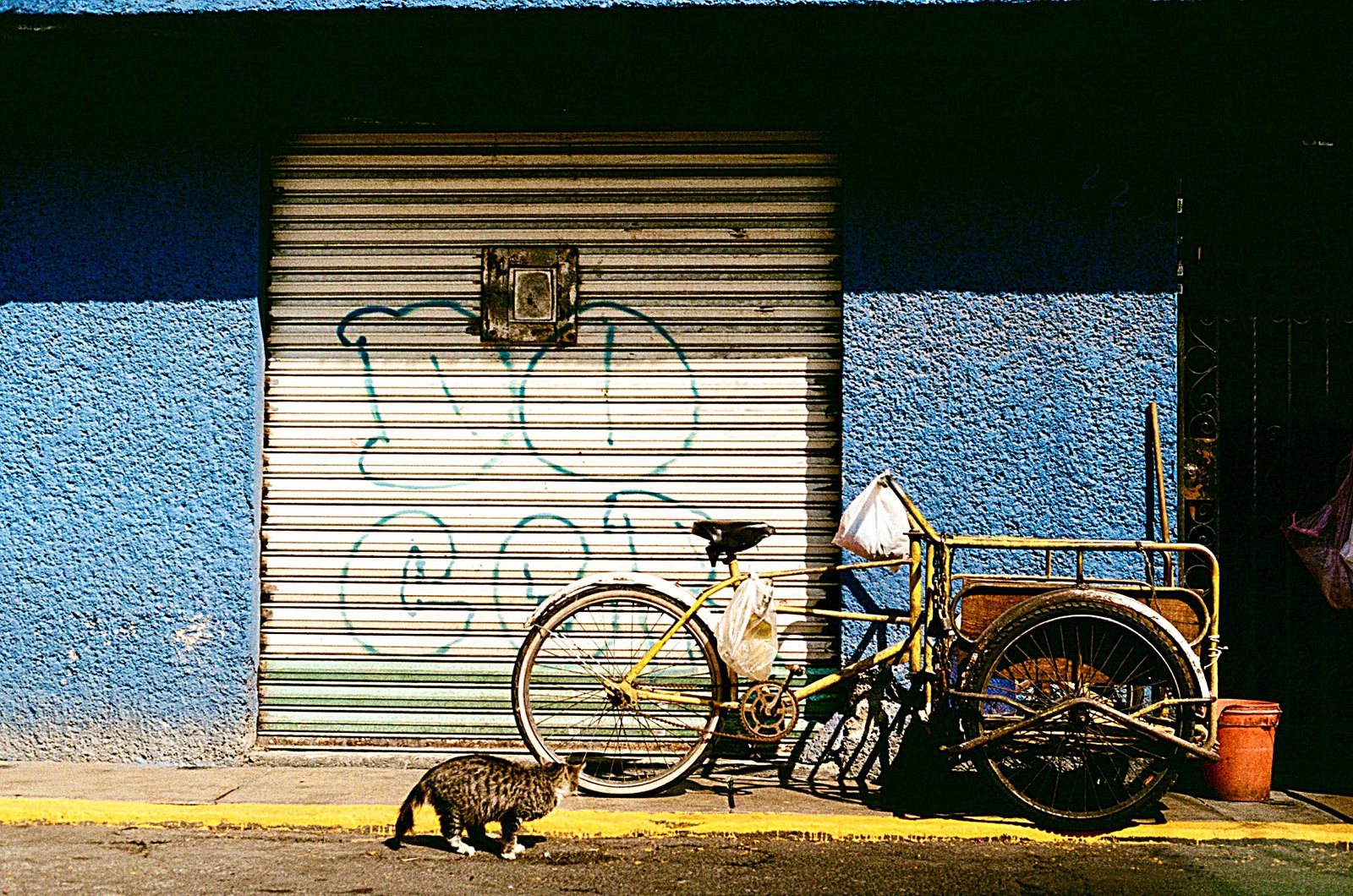 Bikes, photograph 2 of 9