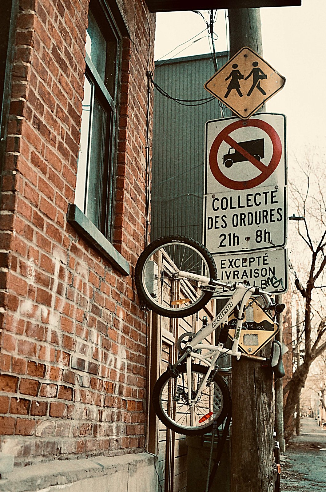 Bikes, photograph 6 of 9