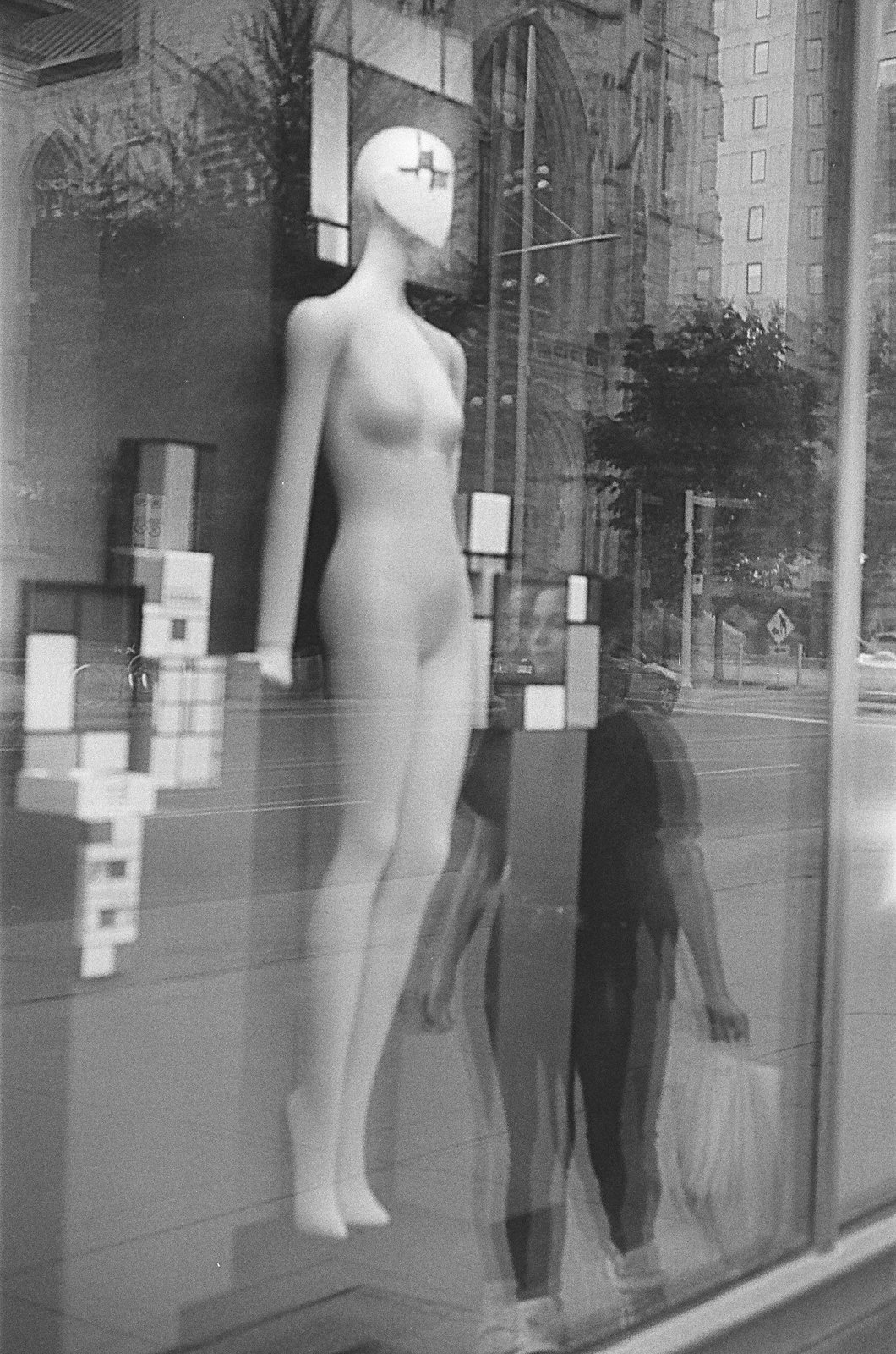 Windows, photograph 12 of 20