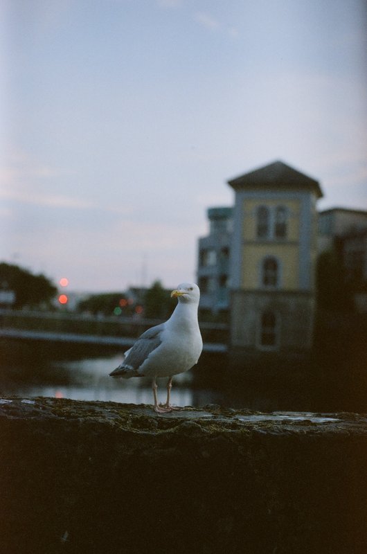 Ireland, photograph 4 of 8