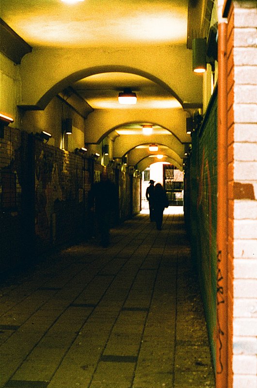 Light and Shadow, photograph 7 of 17