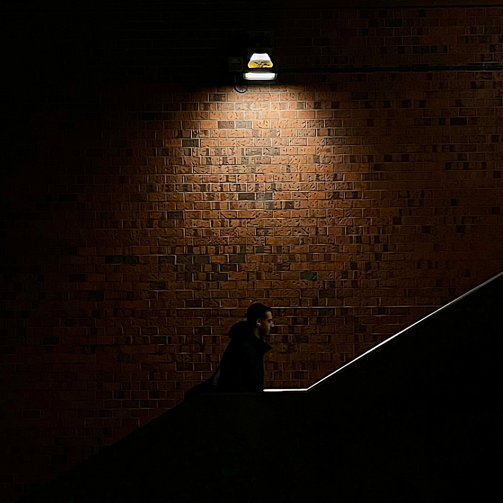 Light and Shadow, photograph 14 of 17