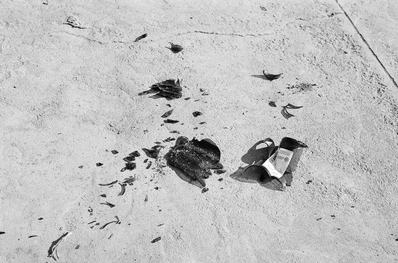 Lo que queda, photograph 3 of 5