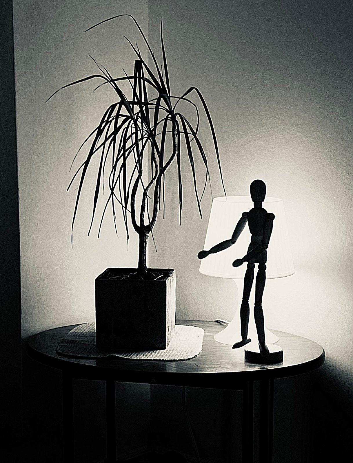 My Spaces, photograph 4 of 6
