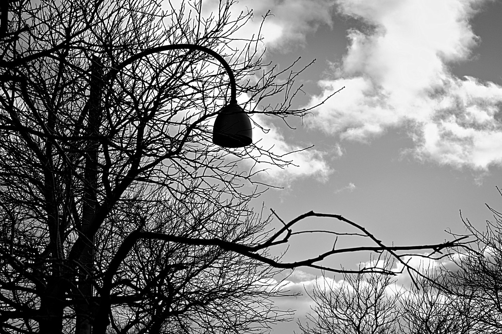 Signs and Lights, photograph 4 of 7