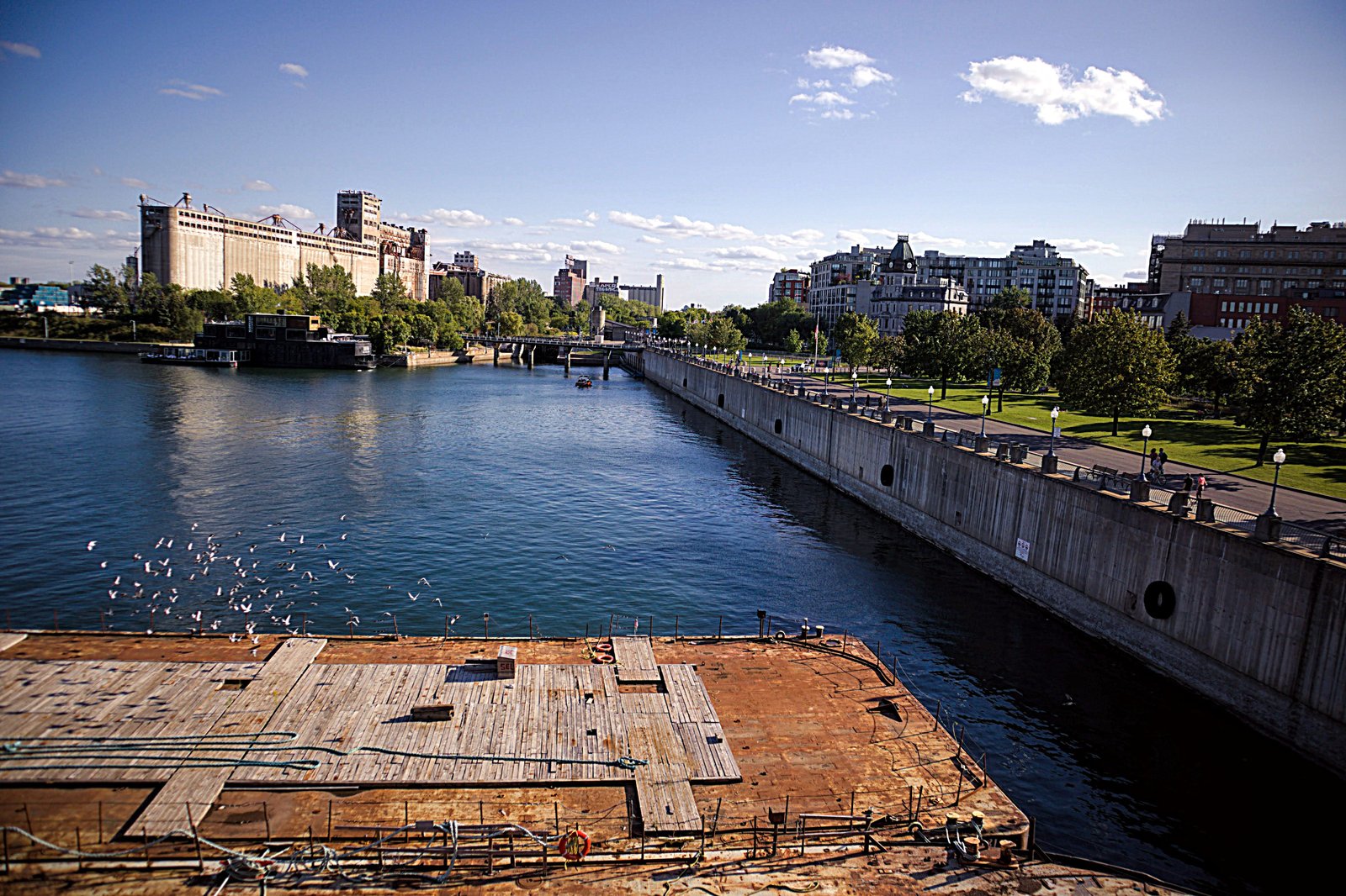 Trimmed Water, photograph 2 of 9