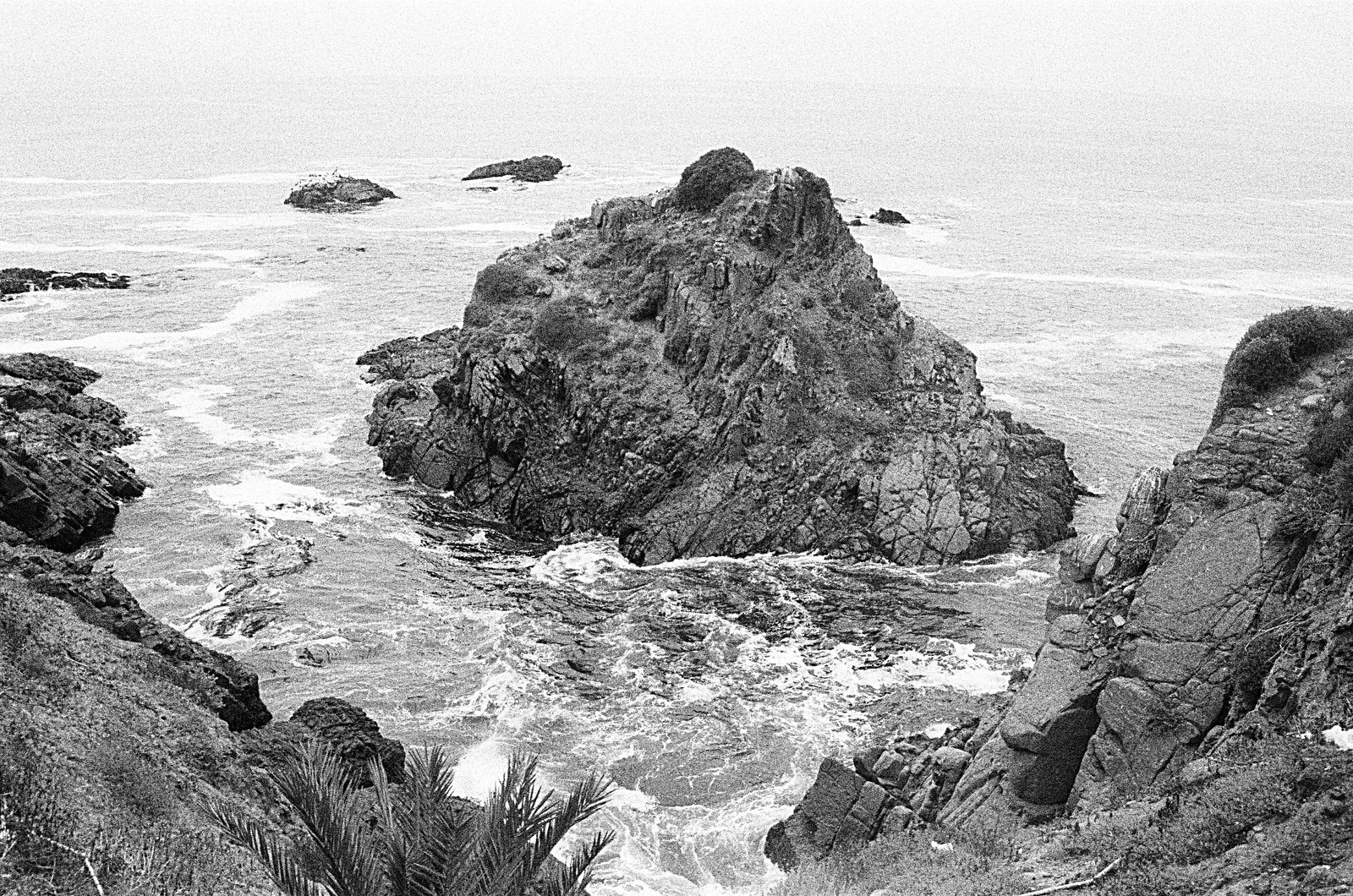 Trimmed Water, photograph 5 of 9