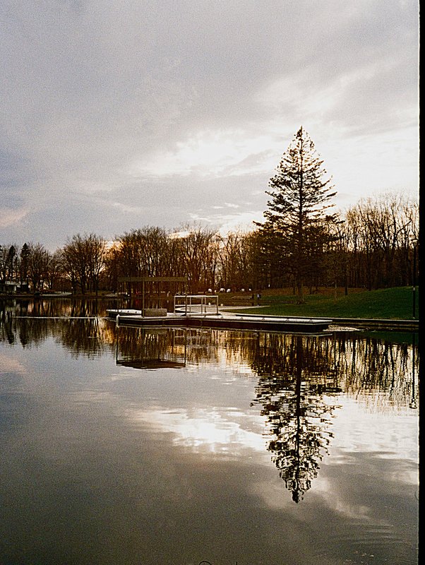 Trimmed Water