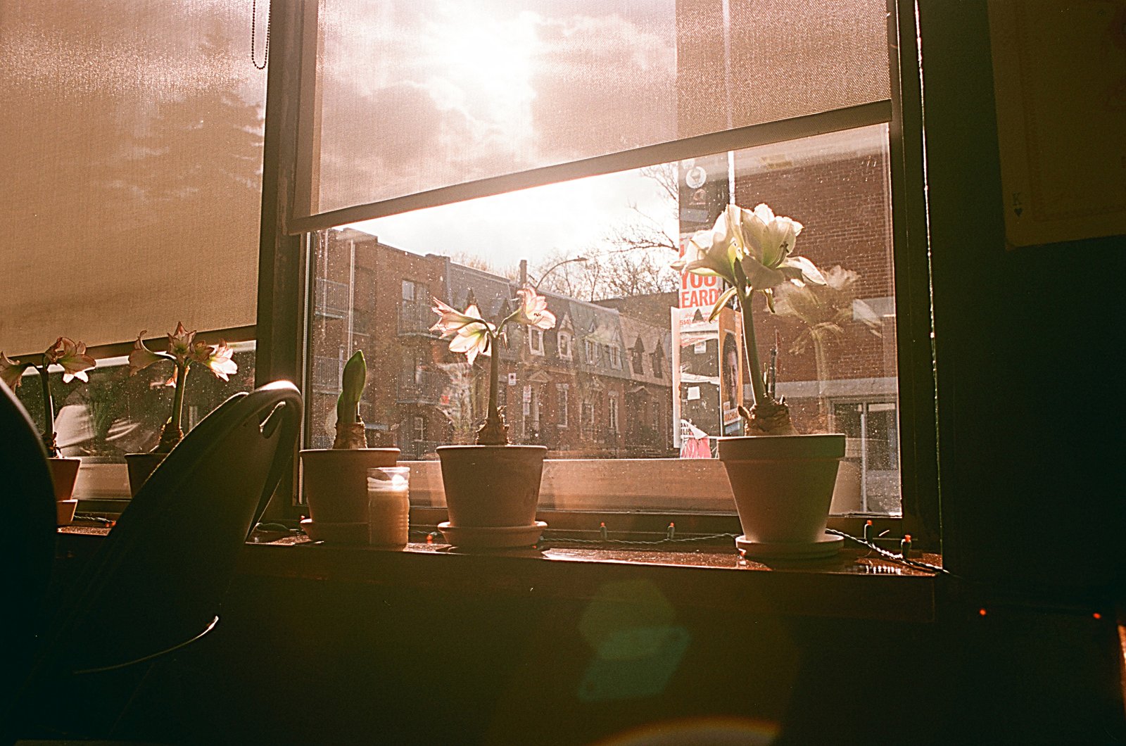 Windows, photograph 19 of 20